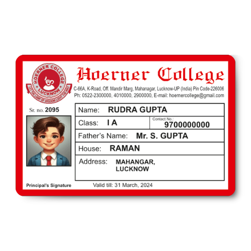 Single Sided Id Card